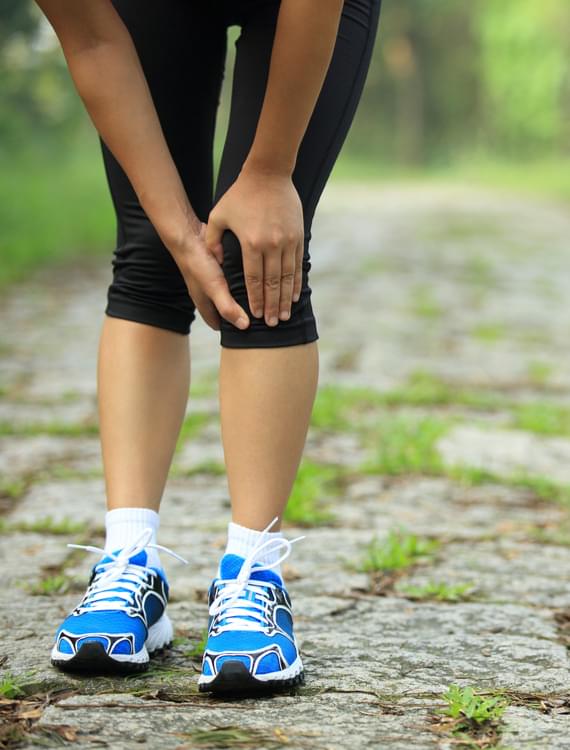 InstaGrowth Boss - Elise Darma